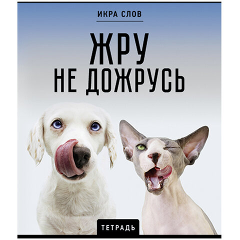 Тетрадь А5 48 л., ПЗБМ, скоба, клетка, конгрев, TWIN-лак, «Икра слов», (5 видов)