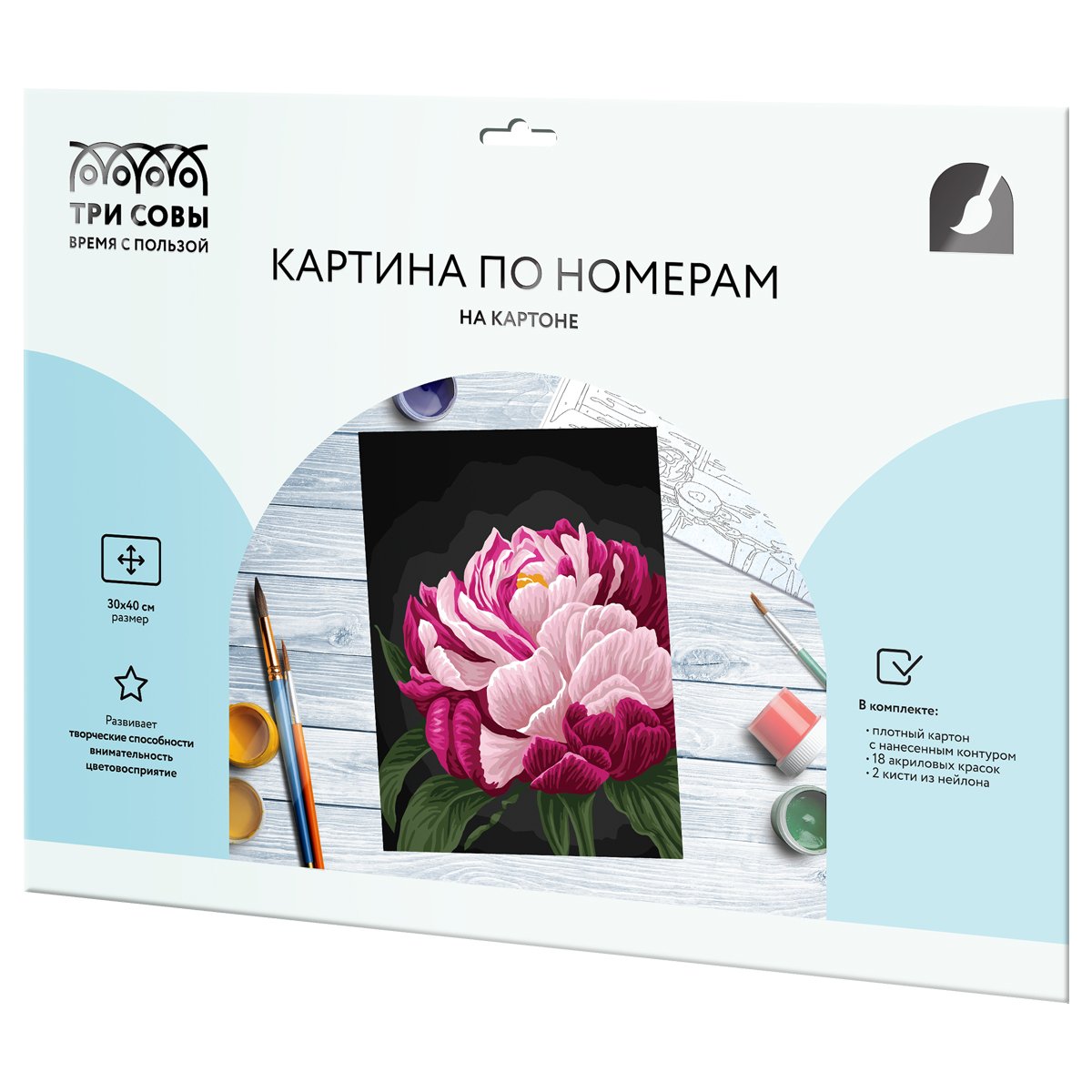 Картина по номерам на картоне ТРИ СОВЫ «Цвет пиона», 30×40, с акриловыми красками и кистями