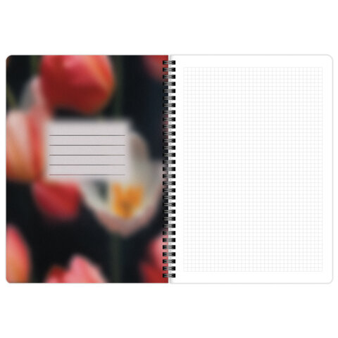 Тетради ДЭК А4 96 л. КОМПЛЕКТ 2 шт., BRAUBERG, гребень, клетка, 80 г/м2, Soft-Touch, «Aesthetics»