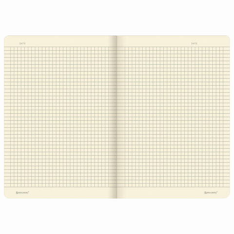 Тетрадь 40 л. в клетку обложка SoftTouch, бежевая бумага 70 г/м2, сшивка, А5 (147×210 мм), HOT PEPPERS, BRAUBERG