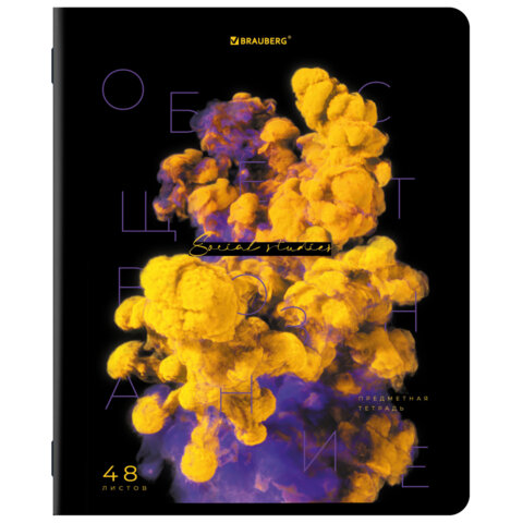 Тетради предметные, КОМПЛЕКТ 12 ПРЕДМЕТОВ, 48 л., глянцевый УФ-лак, BRAUBERG, «PIGMENT»