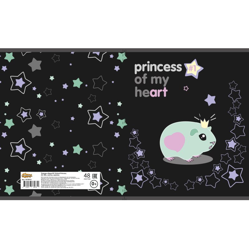 Тетрадь общая А5 48л Princess, клет, скреп, ВД-лак