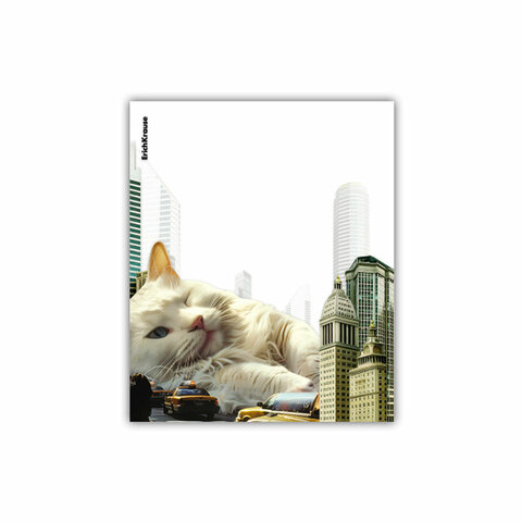 Обложки ПП для тетрадей и дневников ERICH KRAUSE «Big City Cats», КОМПЛЕКТ 12 шт., 80 мкм, 212×347 мм