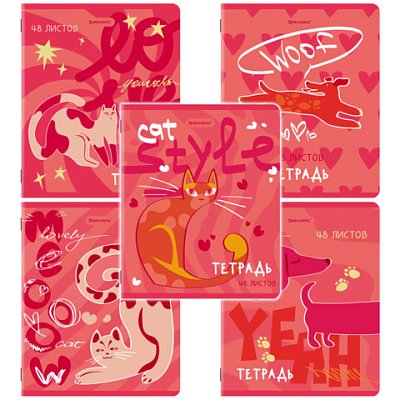 Тетради ДЭК А5 48 л. КОМПЛЕКТ 5 шт. BRAUBERG, скоба, клетка, TWIN-лак, «PINK MOOD»