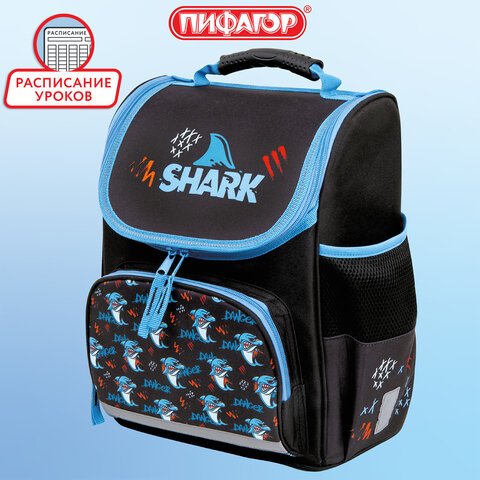 Ранец ПИФАГОР BASIC, 1 отделение, 3 кармана, эргономичная спинка, «Angry shark», 35×28х18 см