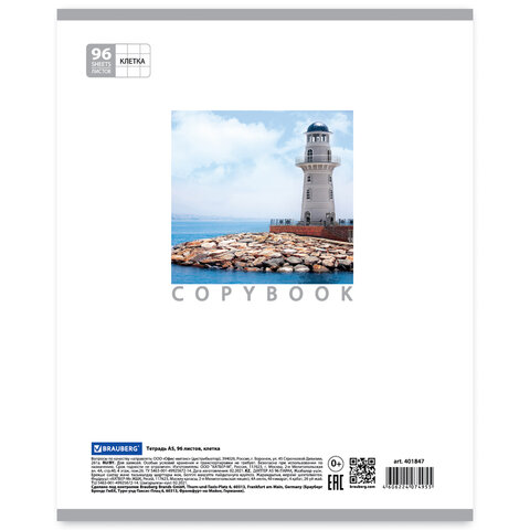 Тетрадь 96 л. BRAUBERG, клетка, обложка мелованный картон, «Vacation» («Каникулы)», 5 видов
