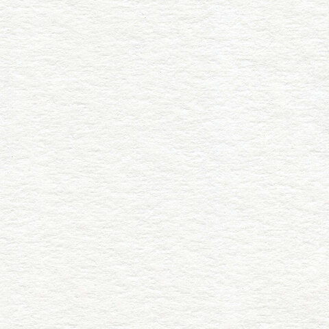 Папка для акварели А4, 20 л., 200 г/м2, BRAUBERG ART, 210×297 мм, «У околицы», 111073