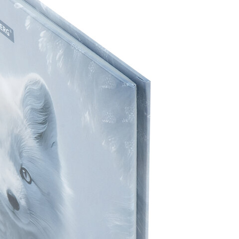 Дневник 1-4 класс 48 л., твердый, BRAUBERG, глянцевая ламинация, с подсказом, «Волк»