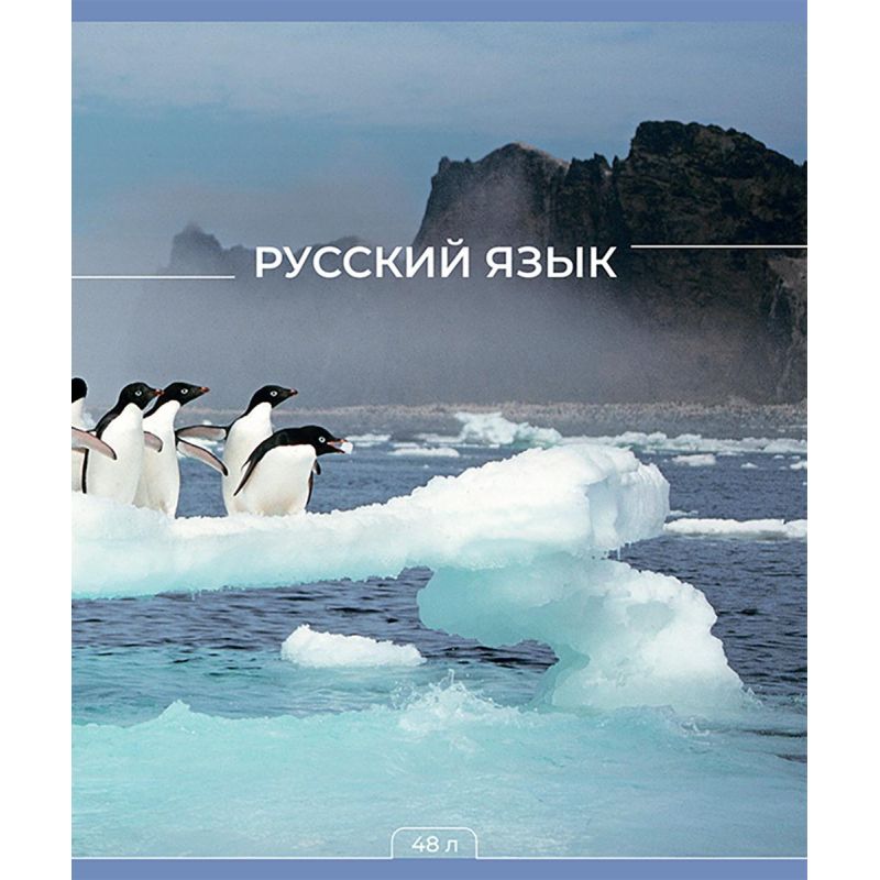 Набор Тетрадь предметная №1 School Мир знаний 48л А5 офсет 65г/м2 10 предм