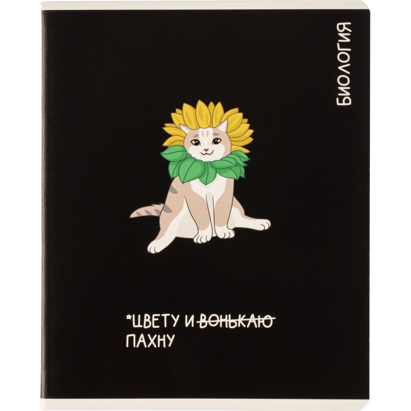 Тетрадь предметная КОТЫ МЕМЫ, набор12 шт.48л, А5+, клетка/линия/71449