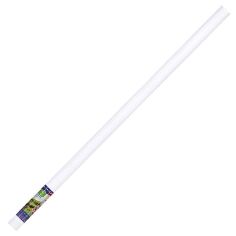 Холст в рулоне BRAUBERG ART CLASSIC, 2×3 м, 380 г/м2, грунтованный, 100% хлопок, мелкое зерно
