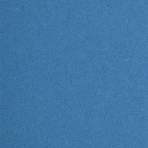 Подвесные папки картонные BRAUBERG, комплект 10 шт., 370х245 мм, 80 л., Foolscap, синие, 230 г/м2, табуляторы