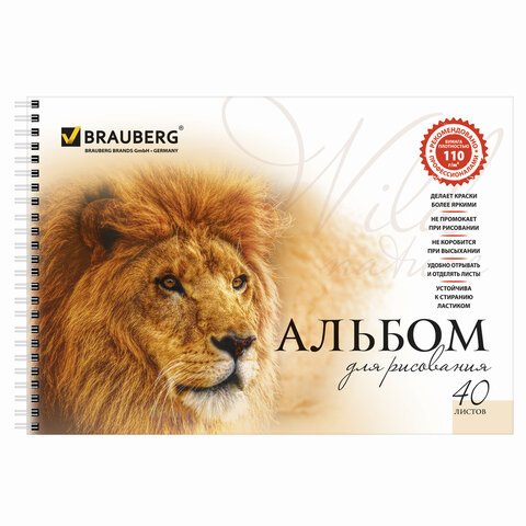 Альбомы для рисования А4 40 л., КОМПЛЕКТ 4 шт., гребень, обложка картон, BRAUBERG, 205×290 мм, «Хищники» (2 вида)
