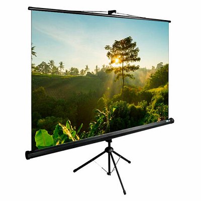Экран Cactus TriExpert CS-PSTE-200×200-BK, 200×200 см, 1:1, напольный, черный