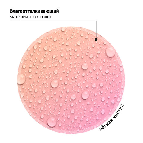 Ранец BRAUBERG SHINY, 2 отделения, «Cheerful», 36×28х14 см