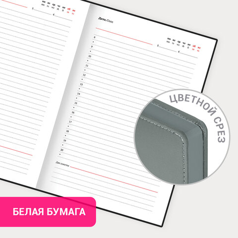 Ежедневник недатированный А5 138×213 мм, BRAUBERG «Safari», под кожу, магнит, 160 л., Snake, серый