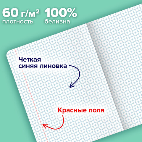 Тетради ДЭК А5 48 л. КОМПЛЕКТ 5 шт. BRAUBERG скоба, клетка, матовая ламинация, выборочный лак, КУРЛЫК И ВСЕ ВСЕ ВСЕ