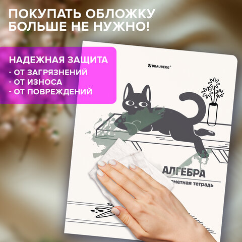 Тетради предметные, КОМПЛЕКТ 12 ПРЕДМЕТОВ 48 л., пластиковая обложка, BRAUBERG «КОТ-НЕПОСЕДА»