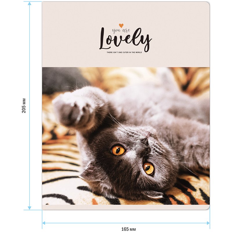 Тетрадь 48л., А5, клетка ArtSpace «Питомцы. Lovely Cat», эконом