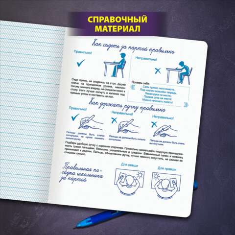 Тетрадь УЧУСЬ ПИСАТЬ №1 12л. частая косая линия С ДОПОЛНИТЕЛЬНОЙ ГОРИЗОНТАЛЬНОЙ, со справочным материалом, ЮНЛАНДИЯ
