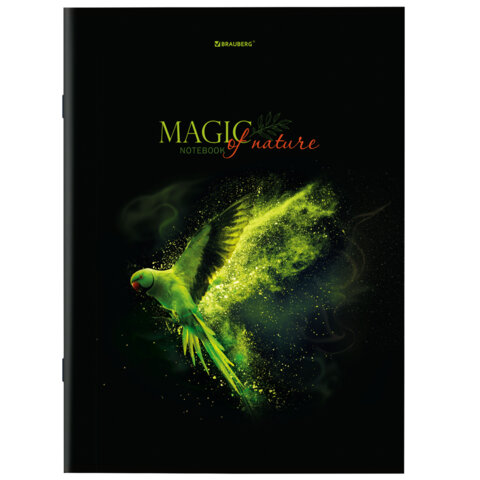 Тетради ДЭК А4, 96 л., КОМПЛЕКТ 3 шт., BRAUBERG, скоба, клетка, глянцевый лак, «Shade»