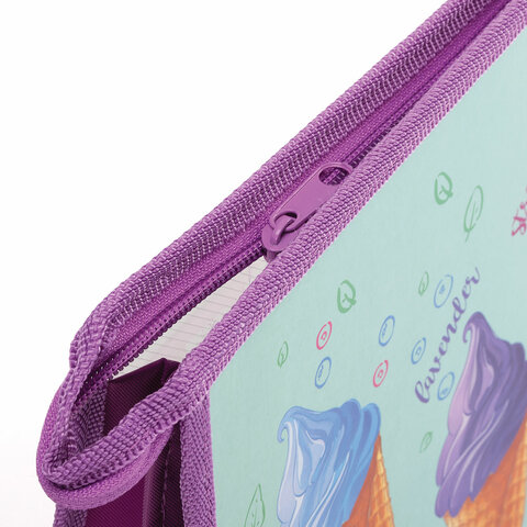 Папка для труда BRAUBERG А42 отделениямолния сверхуорганайзер«Ice cream»270153