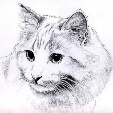 Альбом для рисования, ватман ГОЗНАК 200г/м 200×198мм, 60л, склейка, BRAUBERG ART CLASSIC