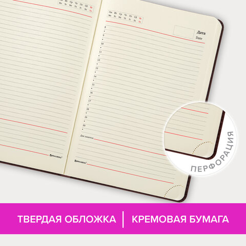 Ежедневник недатированный А5 138×213 мм BRAUBERG «Status», под кожу, 160 л., коричневый