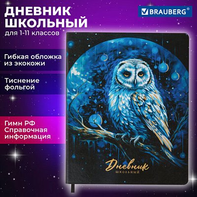 Дневник 1-11 класс 48 л., кожзам (гибкая), печать, фольга, BRAUBERG, «Совушка»