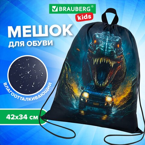 Мешок для обуви BRAUBERG KIDS, с петлей, 42×34 см, «Dino chase»
