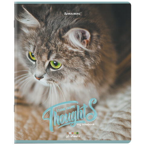 Тетради ДЭК А5 96 л. КОМПЛЕКТ 5 шт., BRAUBERG скоба, клетка, матовая ламинация, «Котики»