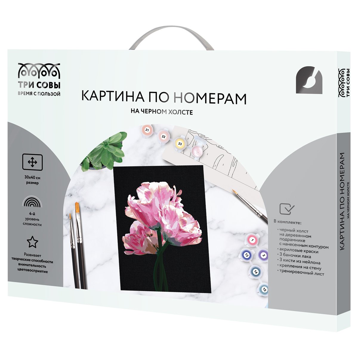 Картина по номерам на черном холсте ТРИ СОВЫ «Розовые цветы», 30×40, c акриловыми красками и кистями