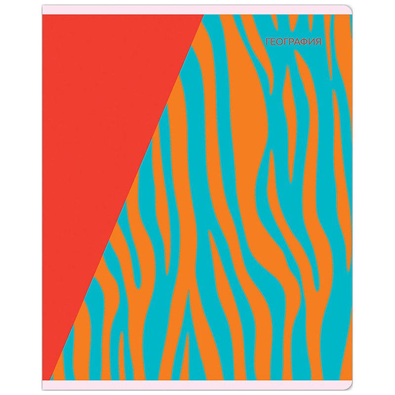 превью Тетрадь предметная 48л. MESHU «Bright splash» - География, матовая ламинация, выборочный УФ-лак