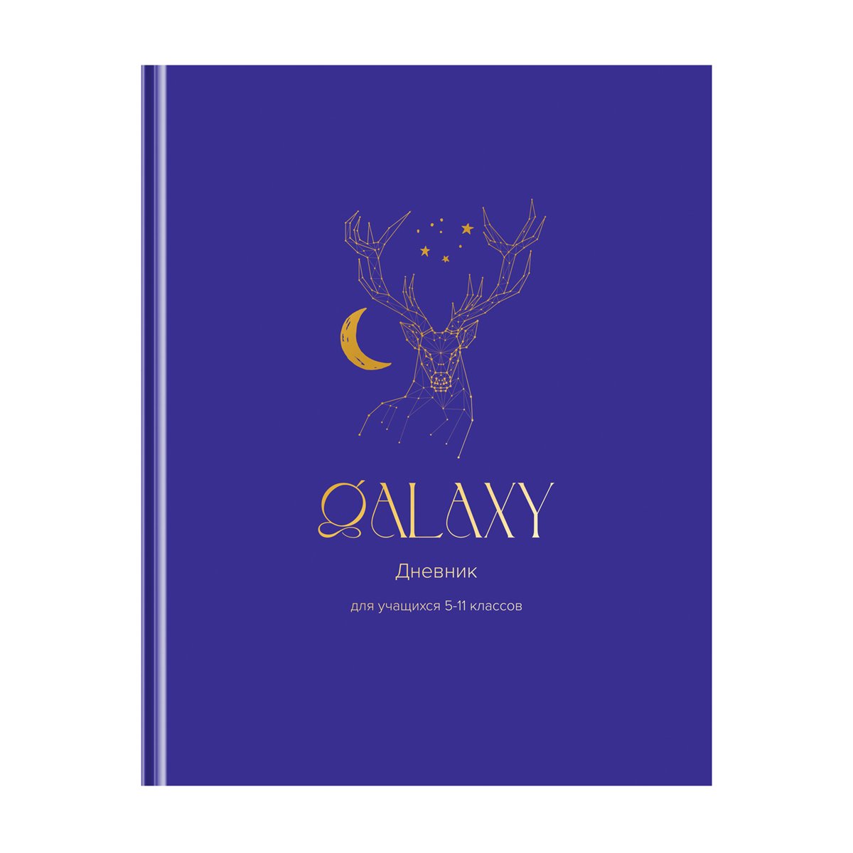 превью Дневник 5-11 кл. 48л. (твердый) BG «Galaxy», матовая ламинация, тиснение фольгой