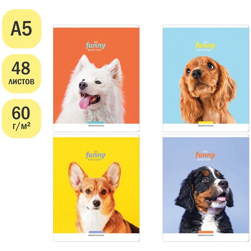 Тетрадь 48л., А5, клетка ArtSpace «Питомцы. So funny», эконом