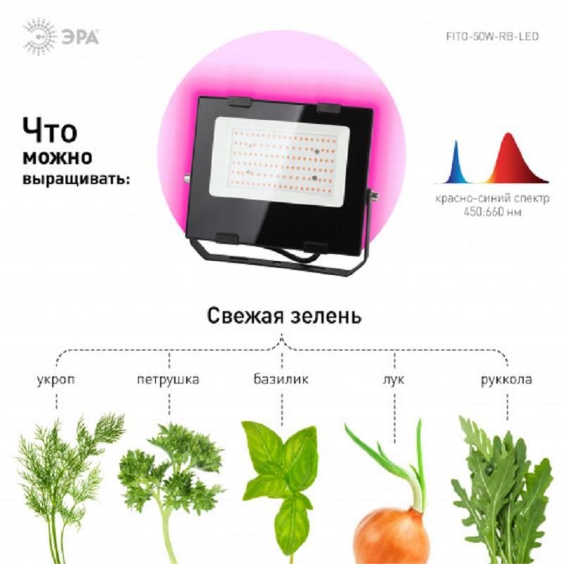 Фитосветильник для растений светодиодный ЭРА FITO-50W-RB-LED (Б0046368)