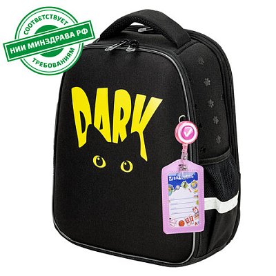 Ранец BRAUBERG FIT, 2 отделения, «Dark cat», 38×27х14 см
