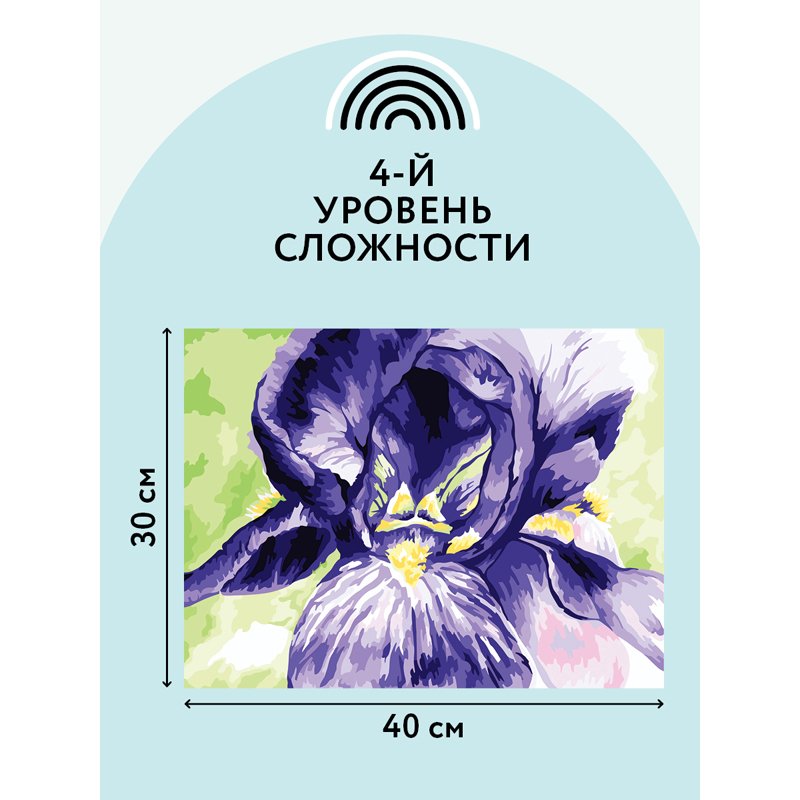 Картина по номерам на холсте ТРИ СОВЫ «Ирис», 30×40, с акриловыми красками и кистями