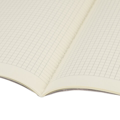 Тетрадь 40 л. в клетку обложка SoftTouch, бежевая бумага 70 г/м2, сшивка, А5 (147×210 мм), HOT PEPPERS, BRAUBERG