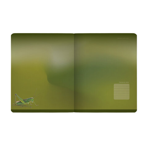 Тетрадь А5, 48 л., BRUNO VISCONTI, скоба, клетка, Soft-Touch, «VERDE. ANIMALS» (5 видов)