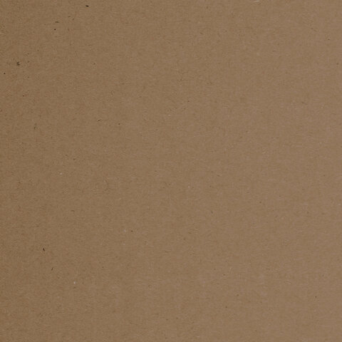 Крафт-бумага для графикиэскизов А4 (210×297 мм)120 г/м2100 л. BRAUBERG ART CLASSIC112486