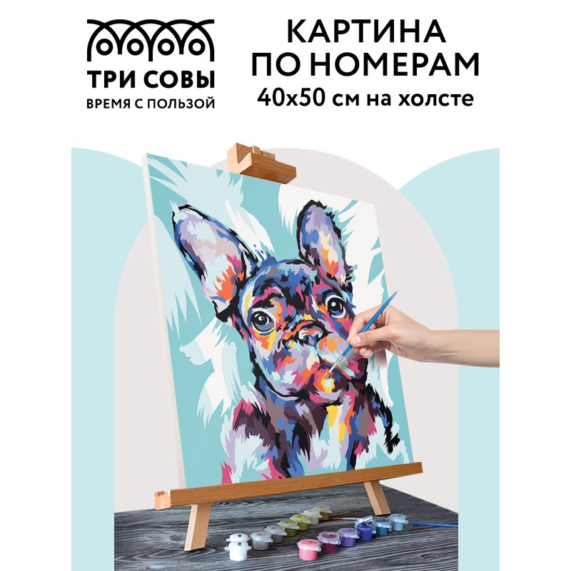 Картина по номерам на холсте ТРИ СОВЫ «Яркий французский бульдог», 40×50, с акриловыми красками и кистями