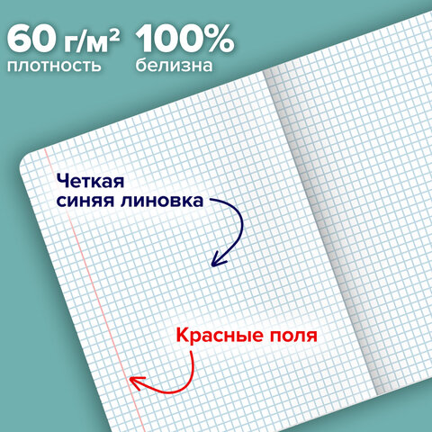 Тетради ДЭК А5 48 л. КОМПЛЕКТ 5 шт. BRAUBERG скоба, клетка, матовая ламинация, КРЫШИ
