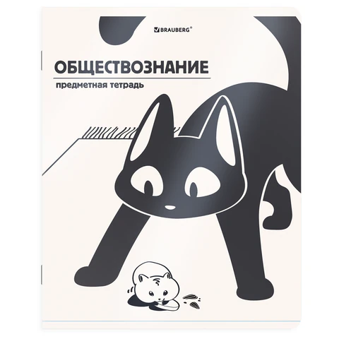 Тетради предметные, КОМПЛЕКТ 12 ПРЕДМЕТОВ 48 л., пластиковая обложка, BRAUBERG «КОТ-НЕПОСЕДА»