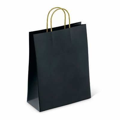Крафт-пакет бумажный «Black» 26×15х35 см, с кручеными ручками, плотность 80 г/м2, моноцвет