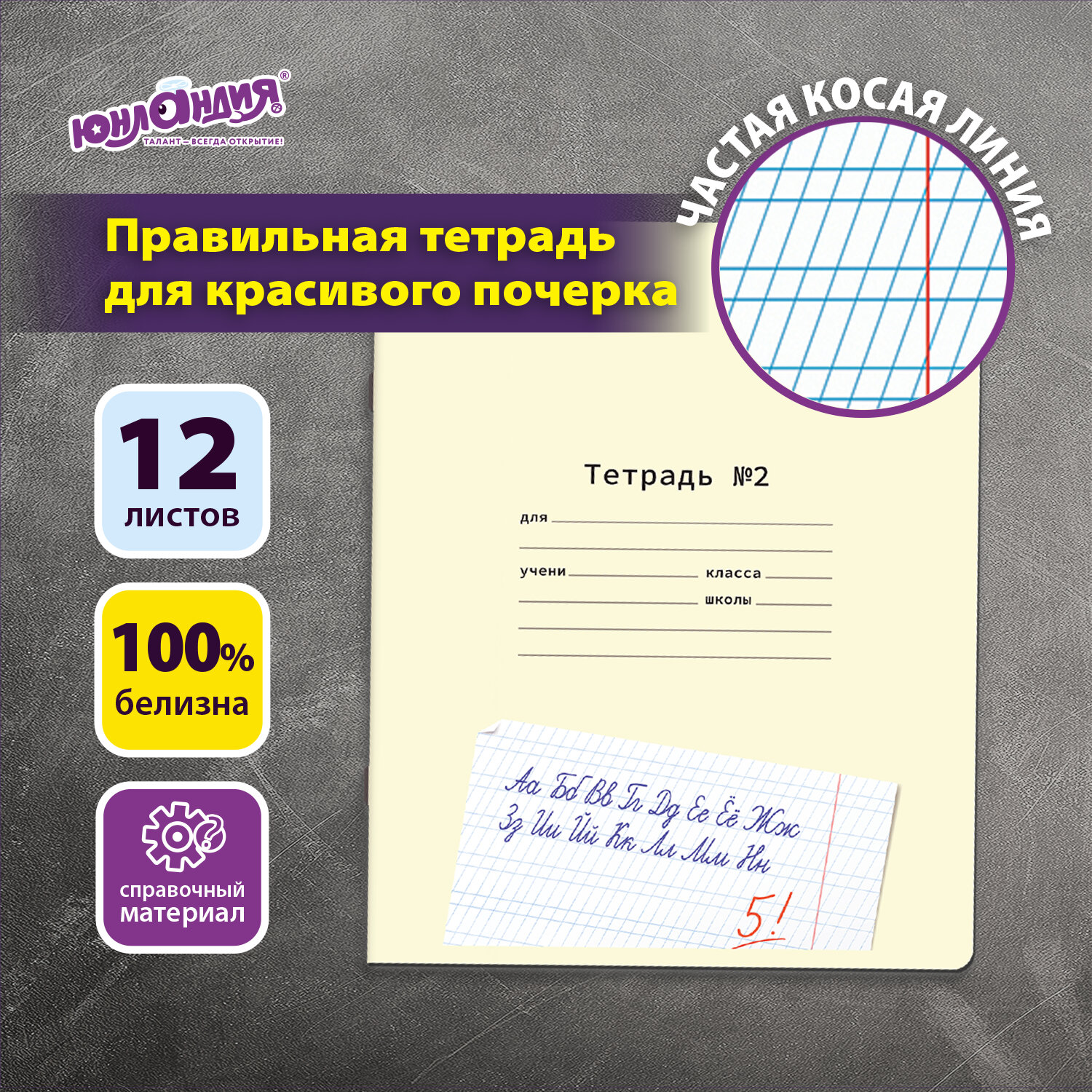 Тетрадь УЧУСЬ ПИСАТЬ № 2 12 л. частая косая линия, со справочным материалом, ЮНЛАНДИЯ