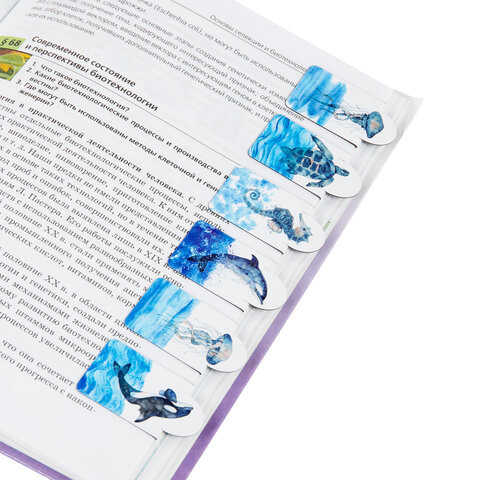 Закладки для книг МАГНИТНЫЕ c высечкой, «MARINE LIFE», набор 6 шт., 35×25 мм, BRAUBERG