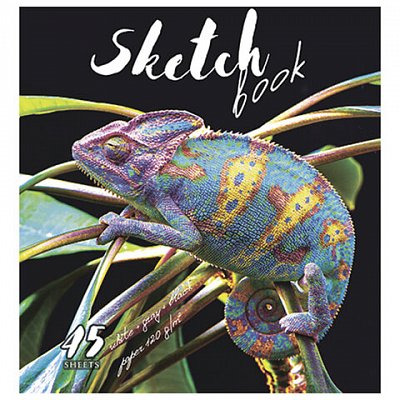 Скетчбук, белая, серая, черная бумага 120 г/м2, 170×195 мм, 45 л., скрепка, фольга, «Хамелеон»