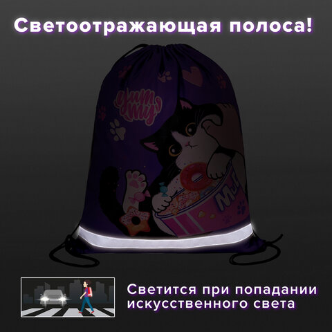 Мешок для обуви BRAUBERG KIDS, с петлей, светоотражающая полоса, 46×36 см, Sweet cheeks