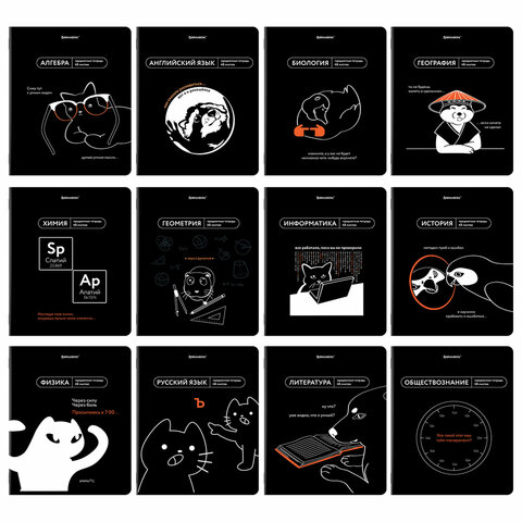 превью Тетради предметные, КОМПЛЕКТ 12 ПРЕДМЕТОВ, 48 л., TWIN лак, BRAUBERG «МЕМЫ»